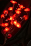 red rose stem lights_sml.jpg